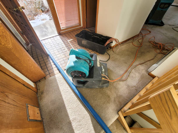 Best Professional water damage repair  in Malibu, CA
