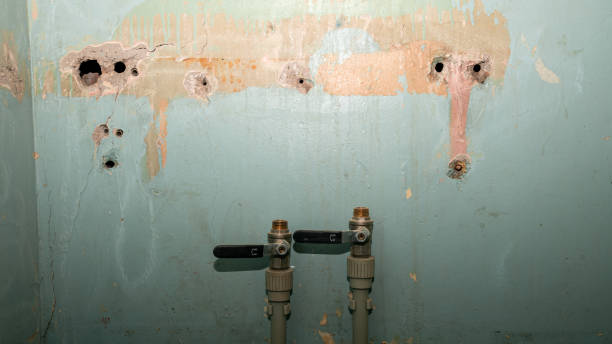 Best 24/7 water damage repair  in Malibu, CA