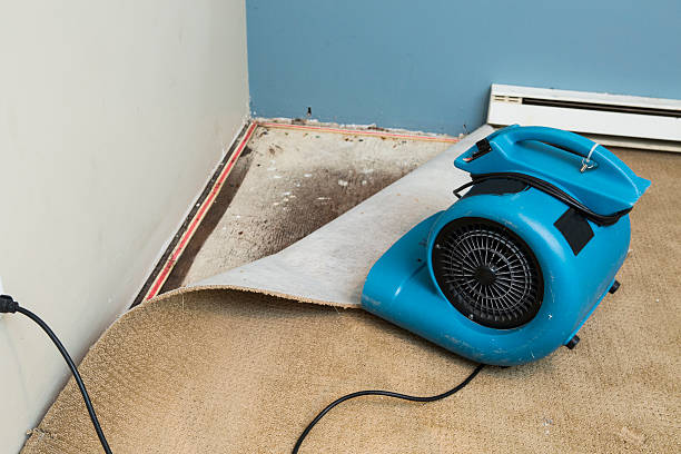 Best Basement water damage restoration  in Malibu, CA
